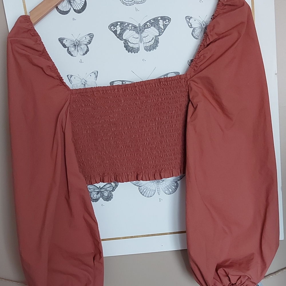 Wilfred Terracotta Crop Top - Picture 4 of 7